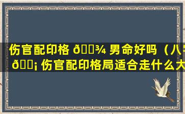 伤官配印格 🌾 男命好吗（八字 🐡 伤官配印格局适合走什么大运）